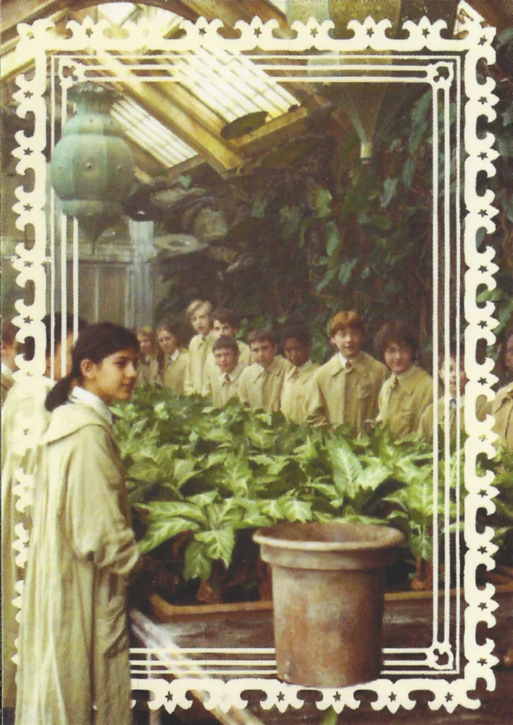 The Greenhouses, front