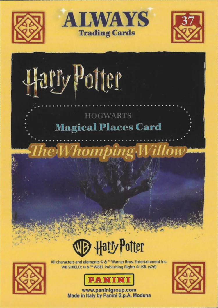 The Whomping Willow, back