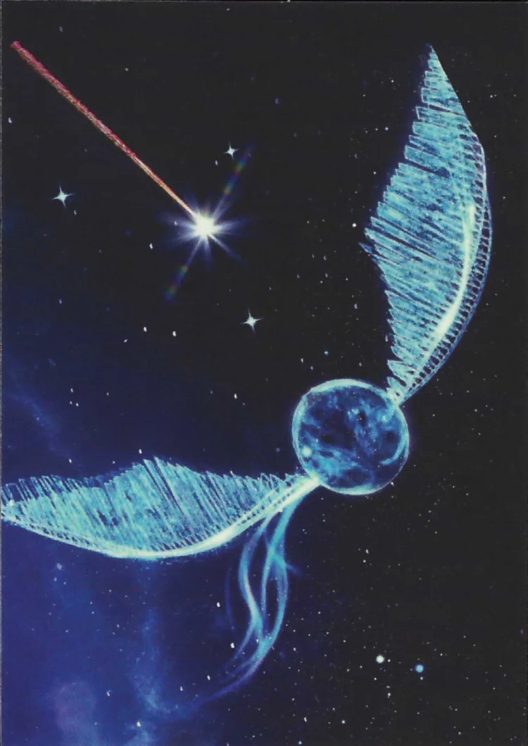 The Golden Snitch, front