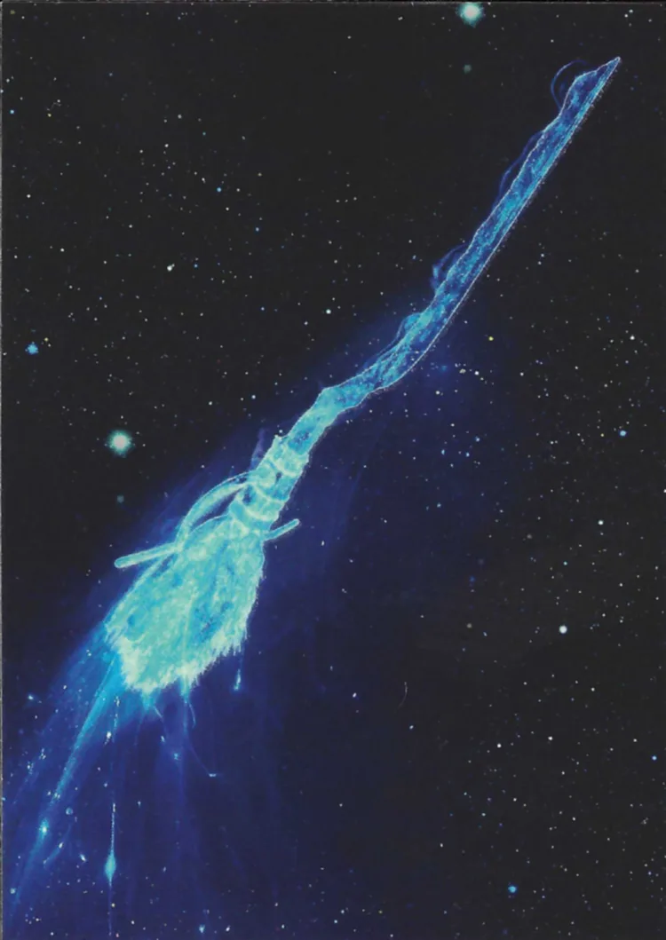 Nimbus 2000, front