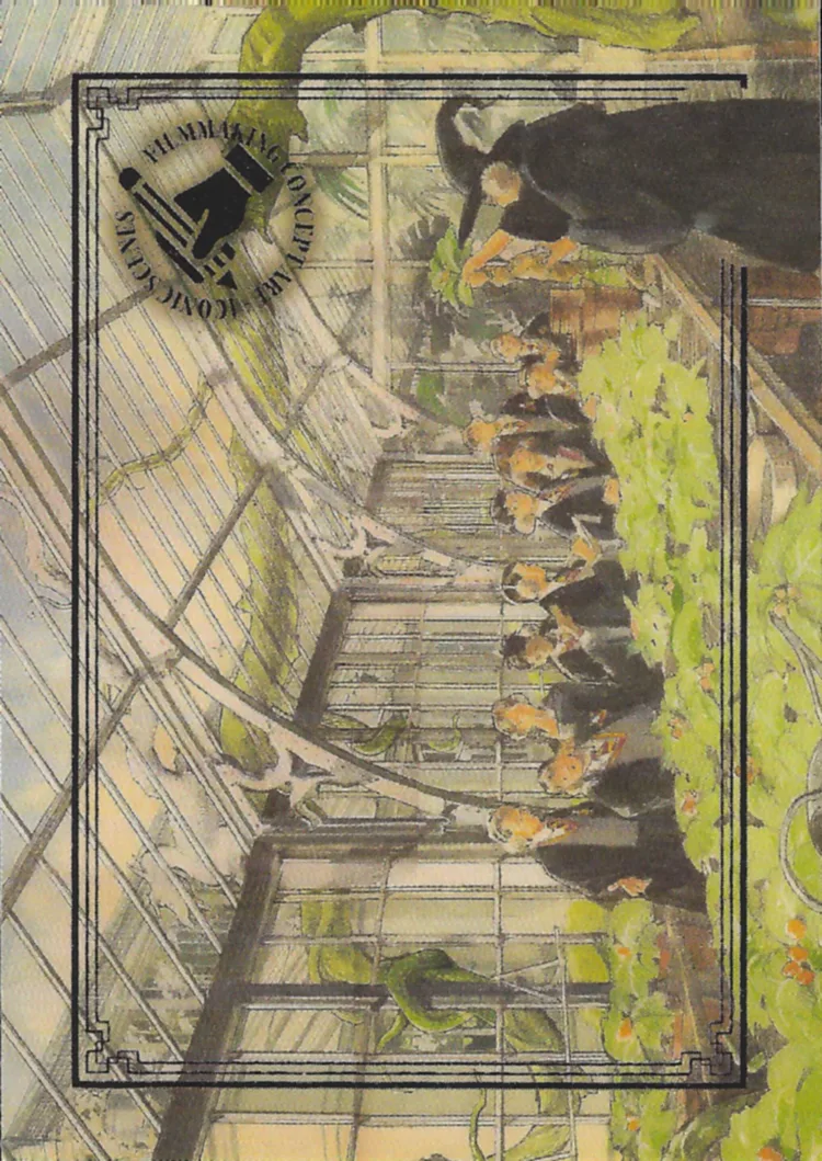 Second-year students’ Herbology Class, front