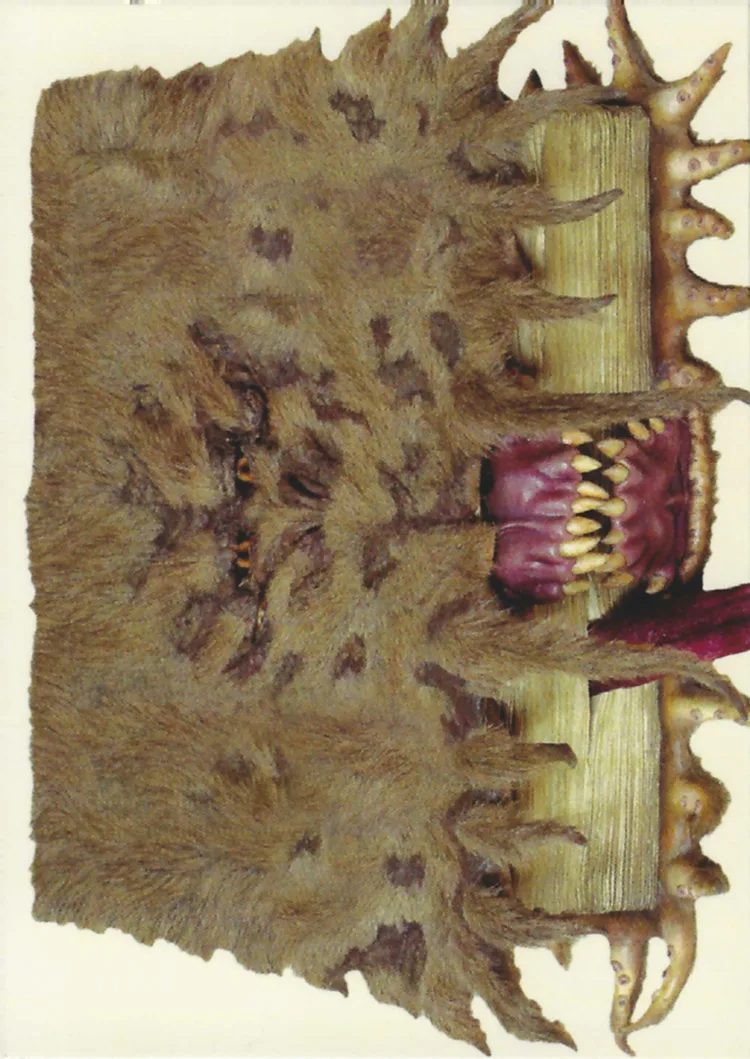 Monster Book of Monsters, front