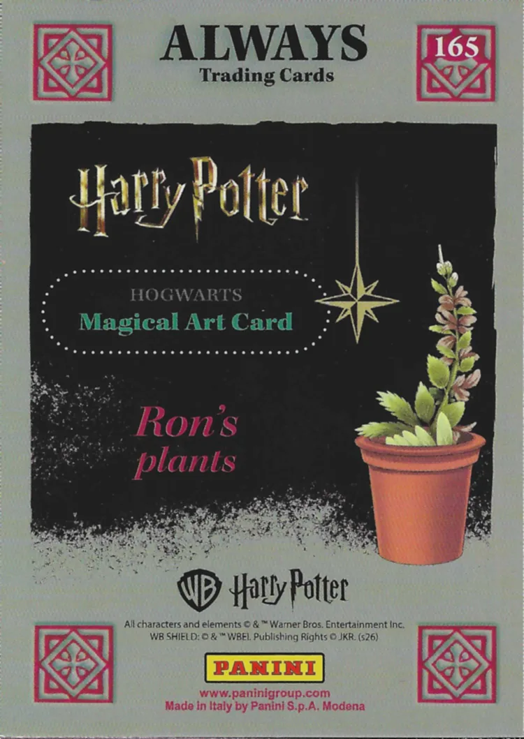 Ron’s plants, back
