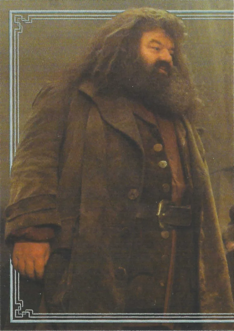 Harry Potter and the Philosopher’s Stone - Prof. Quirrell - 1, front