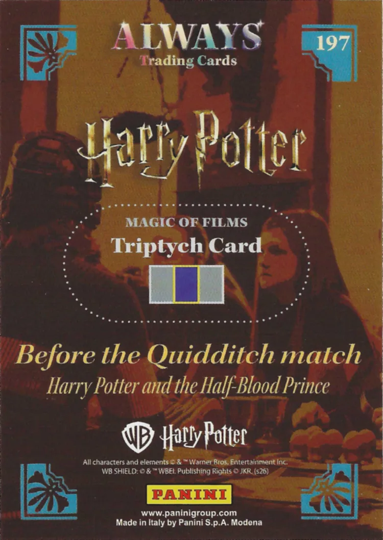 Harry Potter and the Half-Blood Prince - Before the Quidditch match - 2, back