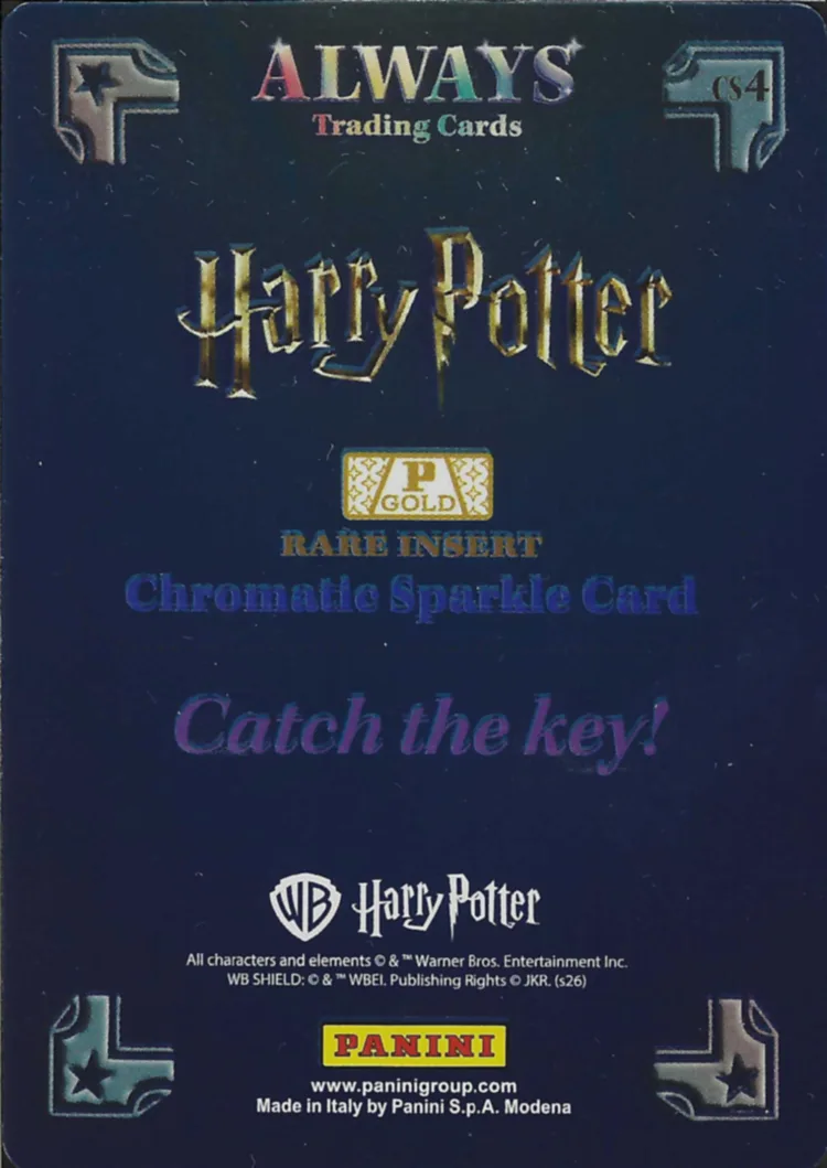 Catch the key!, back