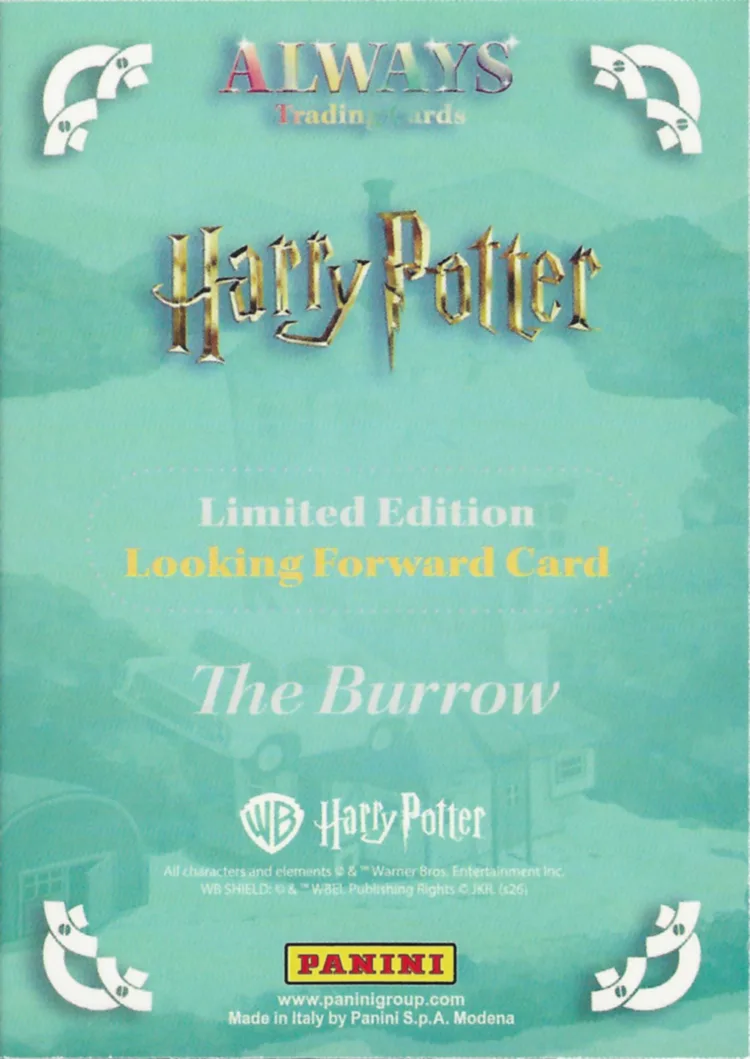 The Burrow, back