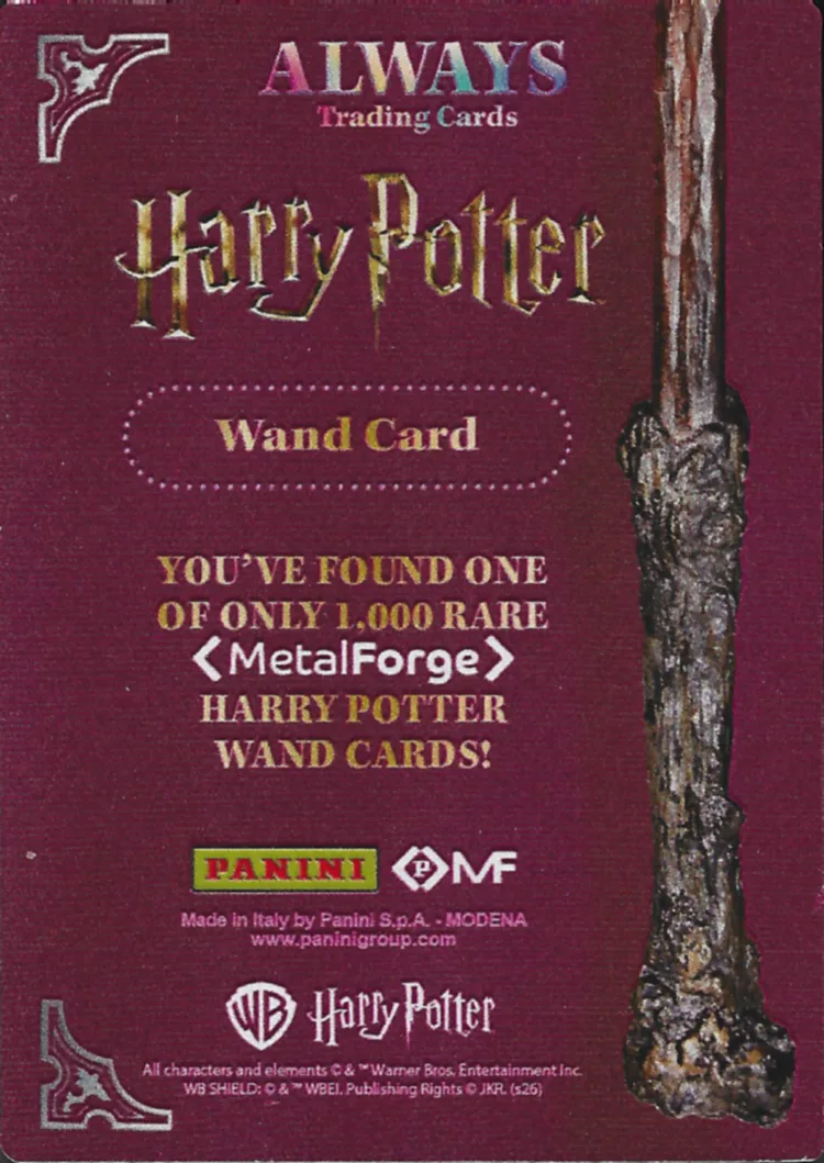 Harry Potter, back